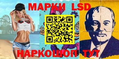 гидропоника Кингисепп