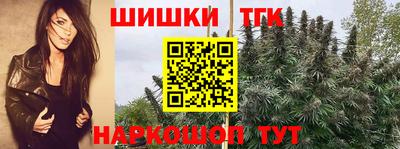 гидропоника Кингисепп
