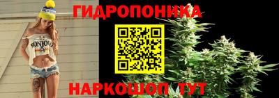 гидропоника Кингисепп