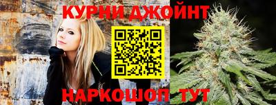 гидропоника Кингисепп