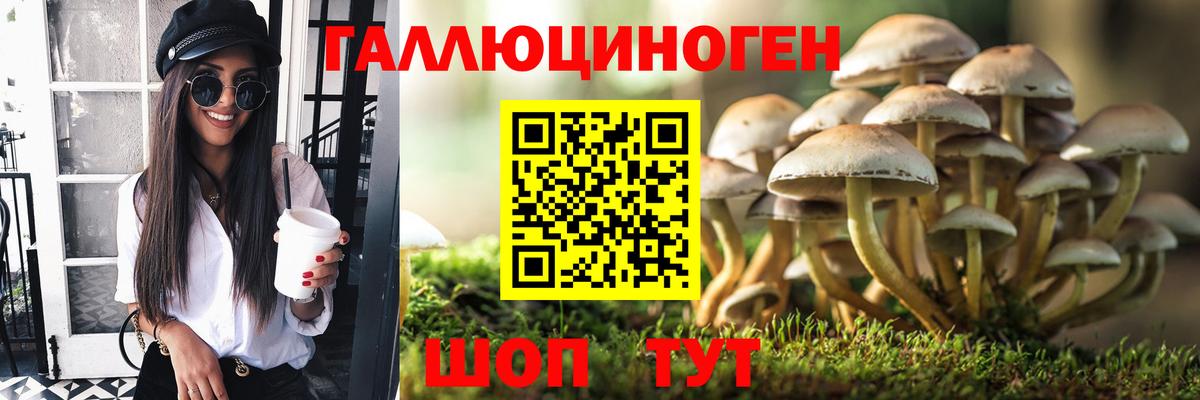 Галлюциногенные грибы GOLDEN TEACHER  Вход с VPN  Краснокаменск 
